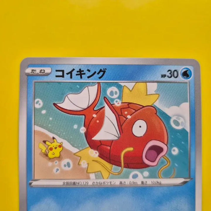 [BUNJANG] Pokemon Card Pikachu &amp; Magikarp (Japanese Edition) / 포켓몬카드 피카츄 등장 잉어킹 일판 일본판