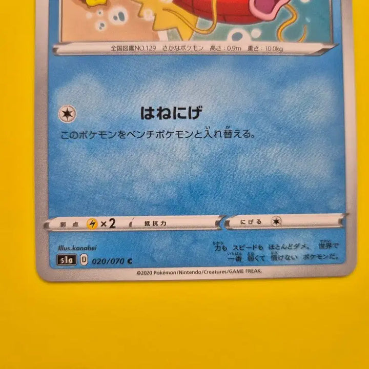 [BUNJANG] Pokemon Card Pikachu &amp; Magikarp (Japanese Edition) / 포켓몬카드 피카츄 등장 잉어킹 일판 일본판