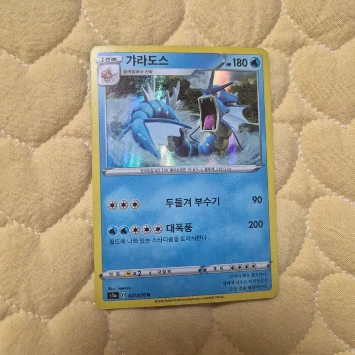 [BUNJANG] Pokemon Card Gyarados Album Edition / 포켓몬 카드 갸라도스 앨범용