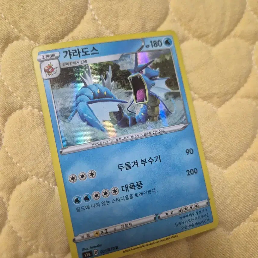 [BUNJANG] Pokemon Card Gyarados Album Edition / 포켓몬 카드 갸라도스 앨범용