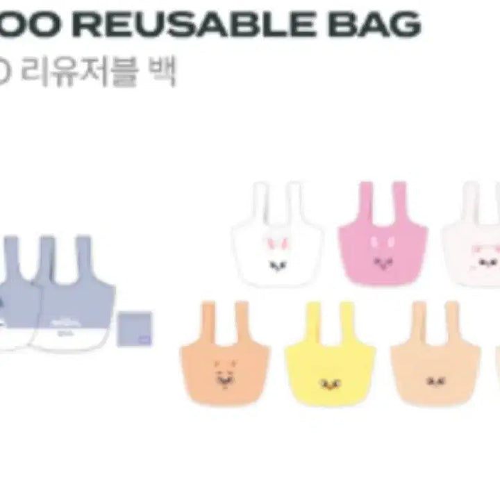 [BUNJANG] Stray Kids Seungmin PERFOMANCE Bakoo Bag Reusable Bag / 스키즈 승민 리유저블 백 스키주 퍼핌 바쿠백