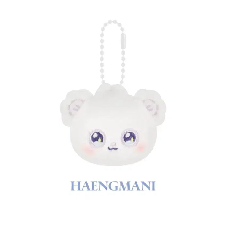 [BUNJANG] NMIXX Mixxive Haewon Character Face Keyring (Sealed) / (미개봉, 정가양도) 엔믹스 믹스피 해원 행만이 페이스키링