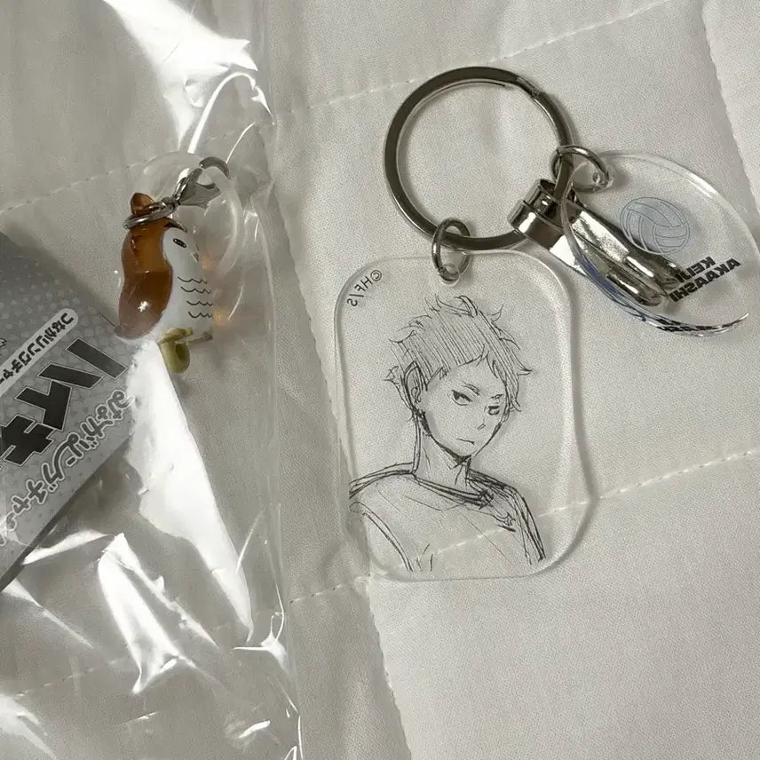 [BUNJANG] Haikyuu!! Fukurodani Akashi (Bundle) Original Drawing Keyring / 아카아시(일괄) 메지루시 후쿠로다니 하이큐 원화전 원화키링