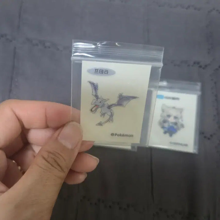[BUNJANG] Pokemon Aerodactyl, Arknights Texas, Felica Sticker Set / 포켓몬 프테라/명일방주 울프가드/펠리카 스티커