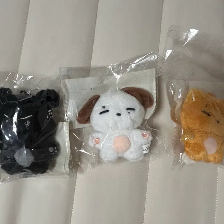 [BUNJANG] Day6 HanipSix Bbotokke Campofil Yoon Kangji Photocard / 데이식스 한입식스 인형 뽀또케 깜푸필 윤강쥐