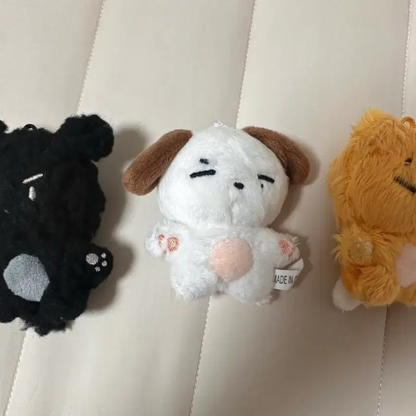 [BUNJANG] Day6 HanipSix Bbotokke Campofil Yoon Kangji Photocard / 데이식스 한입식스 인형 뽀또케 깜푸필 윤강쥐