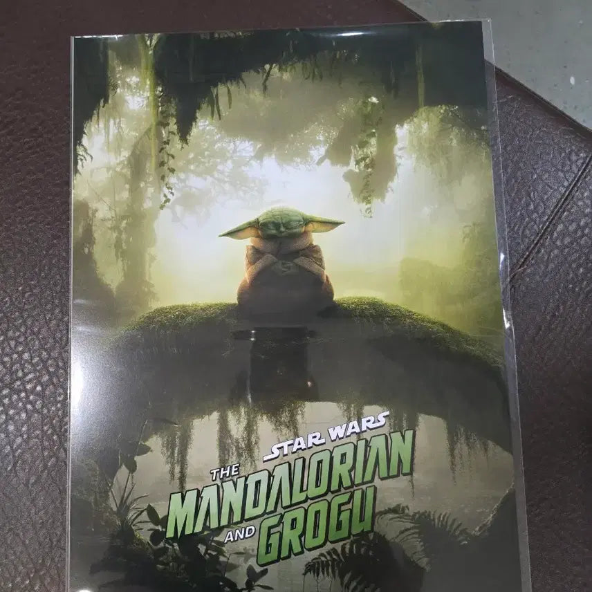 [BUNJANG] The Mandalorian and Grogu Poster Set / 만달로리안과 그로구 포스터 2종 일괄