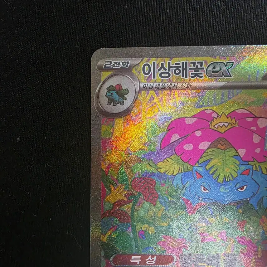 [BUNJANG] Pokemon Card 151 Venusaur SAR Set / 포켓몬카드 151 이상해꽃 sar 세트