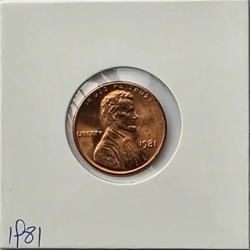 [BUNJANG] 1981 Lincoln Cent Philadelphia Mint Uncirculated Penny / 링컨 1센트 1981년도 미사용 필라델피아 페니