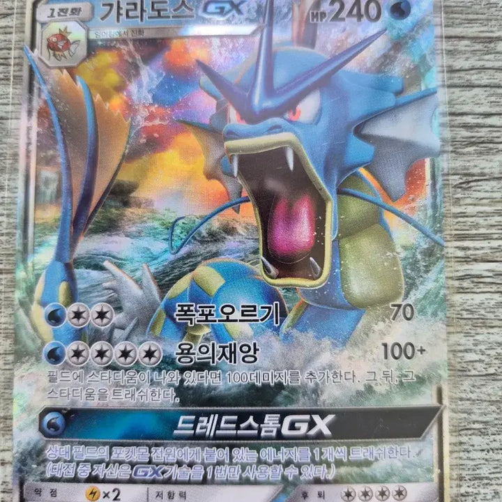 [BUNJANG] Pokemon Gyarados GX Card Bundle / 포켓몬 갸라도스 GX 카드