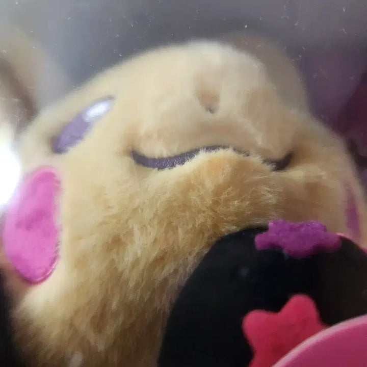 [BUNJANG] Pokemon Midnight Plush Doll Pikachu / 포켓몬 팝팝 미드나잇 봉제인형 피카츄