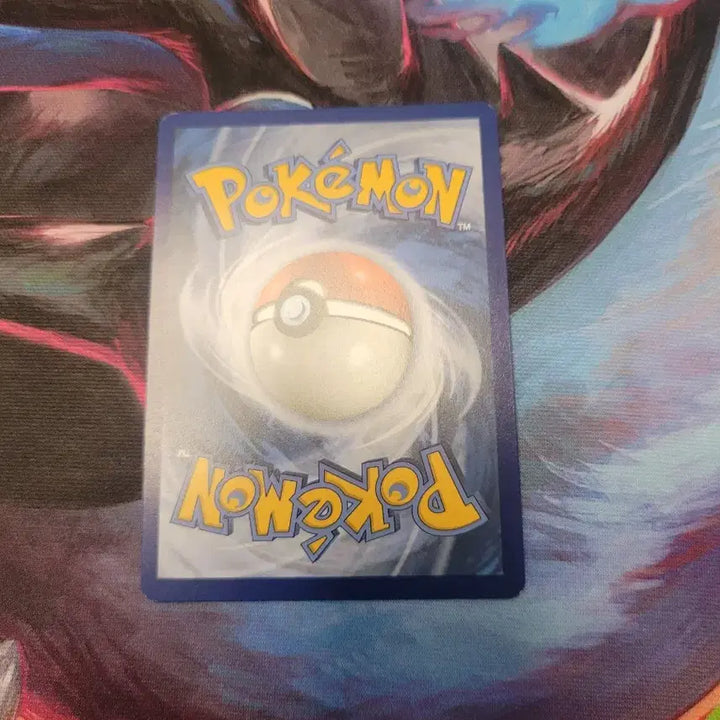 [BUNJANG] Pokemon Card North America Series SAR (Perrin) / 포켓몬 카드 북미 세류 SAR (Perrin)