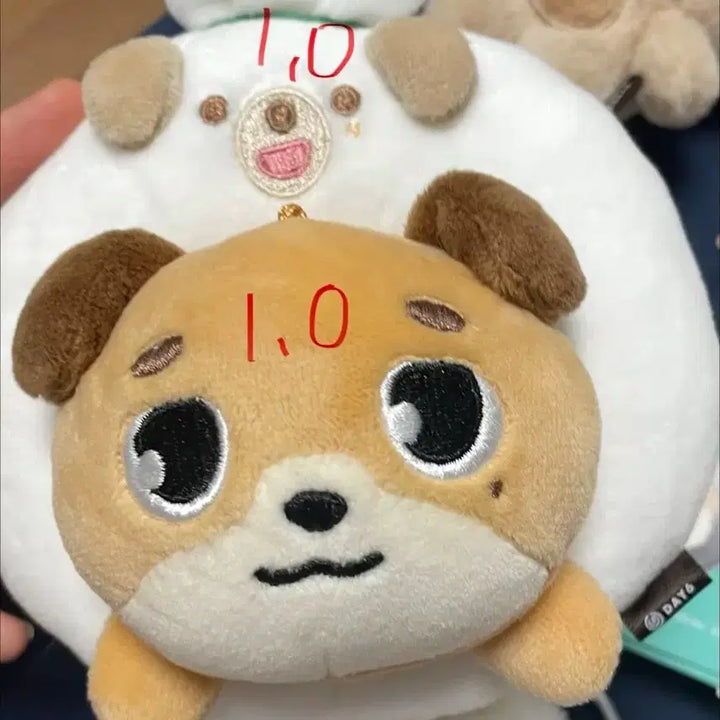 [BUNJANG] Day6 Dowoon Denimals Don Bundle Set / 데이식스 도운 데니멀즈 돈 원가 이하 양도