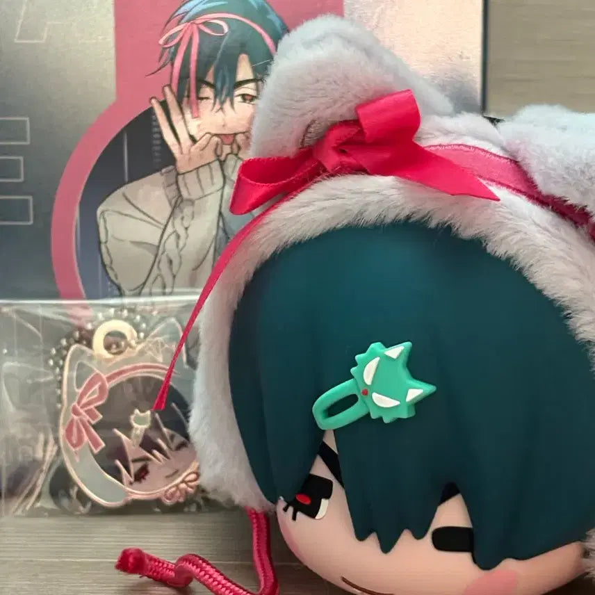 [BUNJANG] Astell&amp;Kern Ivans Earphone Case / 에이스테 이반 이어폰 케이스