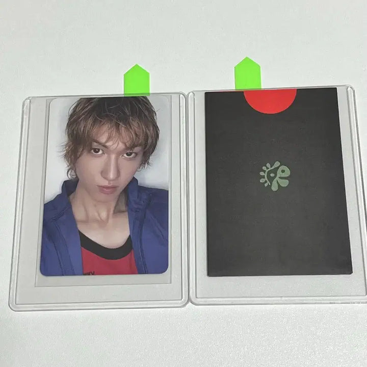 [SOLD OUT] 코르티스 cortis 그린그린 마틴 공방 포카