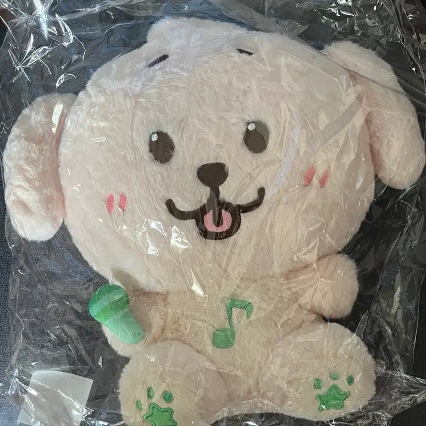 [BUNJANG] NCT Wish DENTYBER 30cm Doll (Sealed) / 미개봉) 위시 댕트리버 30cm