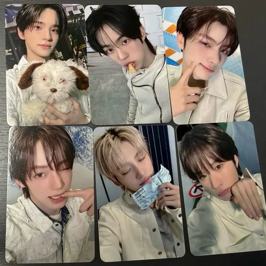 [BUNJANG] TWS Blue Dream Media POB Photocard / 투어스 tws 블루드림미디어 미공포 특전 포카