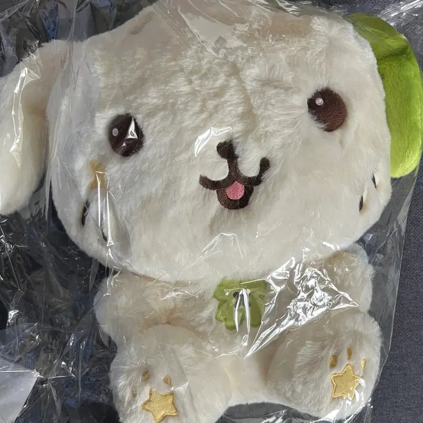 [BUNJANG] NCT WISH YUNYUN 30cm Doll (Sealed) / 위시 룐룐 30cm 미개봉