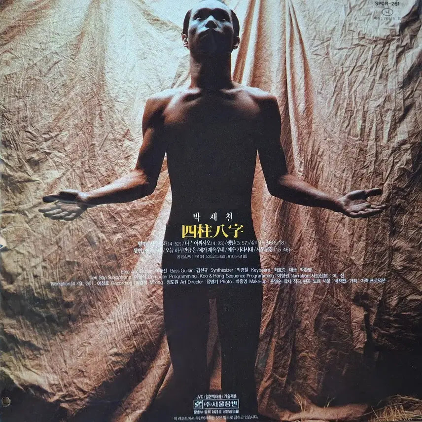 [BUNJANG] Park Jae Chun Sajupalja LP / 귀한음반/박재천-사주팔자 LP