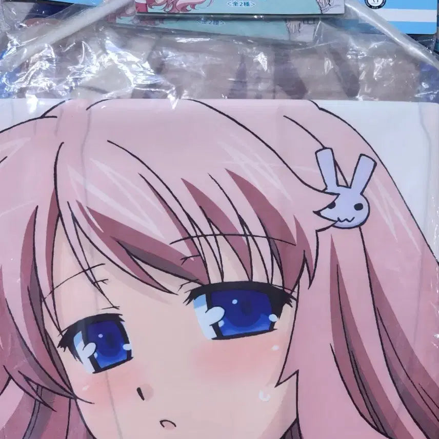 [BUNJANG] Baka and the Test Daikmura Himeji Dakimakura Bedding / 바보와 시험과 소환수 바카테스 히메지 다키마쿠라 침대보