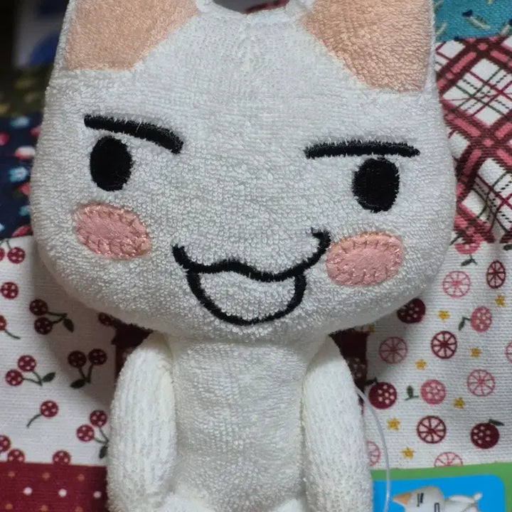 [BUNJANG] Dokodemo Issho Sitting Toro Plush Doll / 도코데모잇쇼 앉아있는 토로 인형