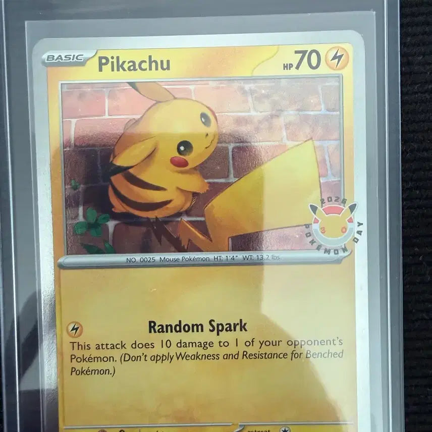 [BUNJANG] Pokemon North America 30th Anniversary Pikachu Promo Card / 포켓몬 북미 30주년 피카츄 프로모카드