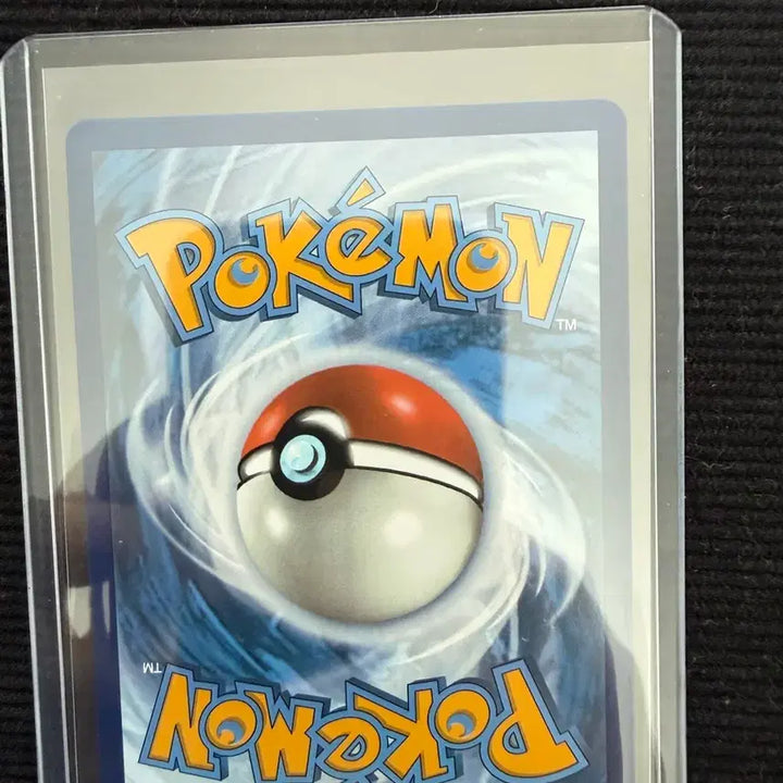 [BUNJANG] Pokemon North American Trainer Card / 포켓몬카드 북미 트레이너카드