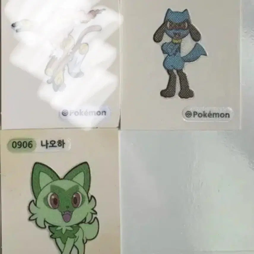 [SOLD OUT] 리오르 나오하