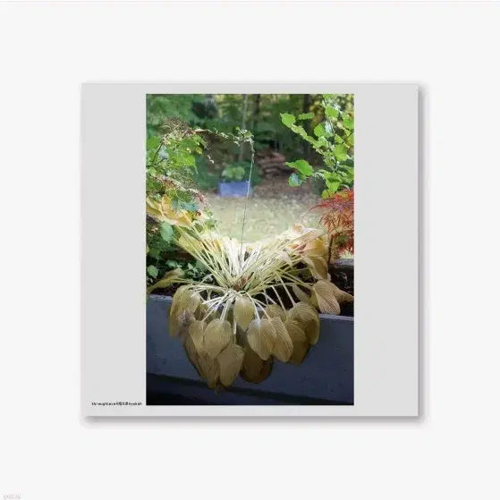 [BUNJANG] Hyukoh "Love Poem" LP / 혁오 사랑으로 LP