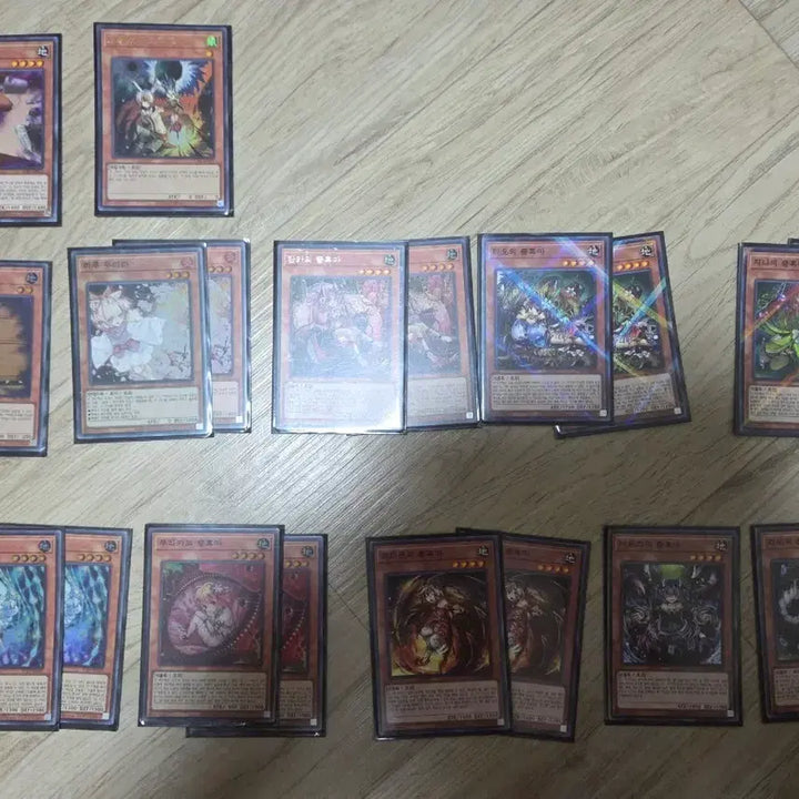 [BUNJANG] Yu-Gi-Oh! Traptrix Deck / 유희왕 충혹마 덱 팝니다