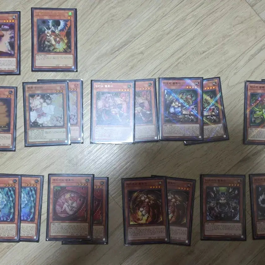 [BUNJANG] Yu-Gi-Oh! Traptrix Deck / 유희왕 충혹마 덱 팝니다