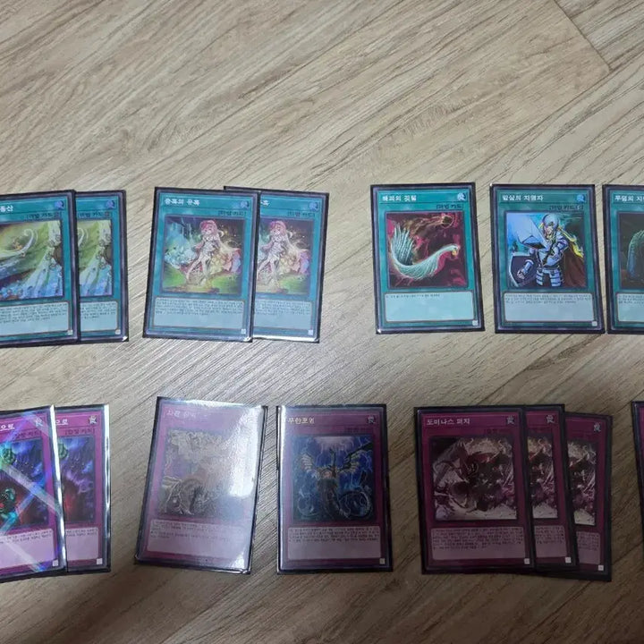 [BUNJANG] Yu-Gi-Oh! Traptrix Deck / 유희왕 충혹마 덱 팝니다