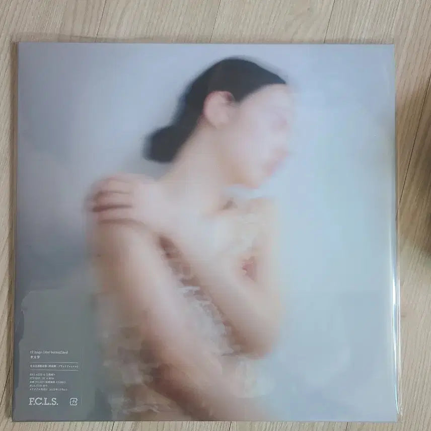 [BUNJANG] Yang Moonhak 12hugs Sealed LP / 양문학 12hugs lp 미개봉 팝니다