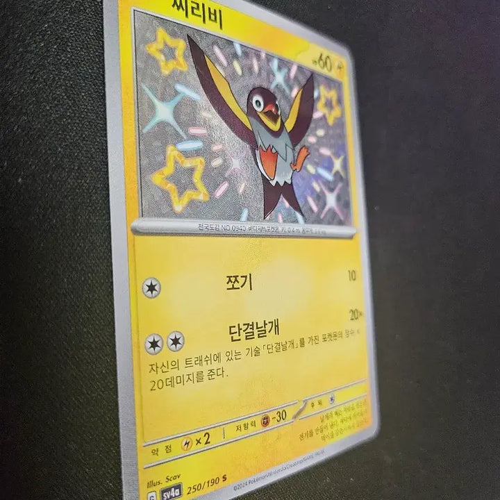 [BUNJANG] Pokemon Card Toxel S Card / 포켓몬 카드 찌리비 S 카드 판매합니다.