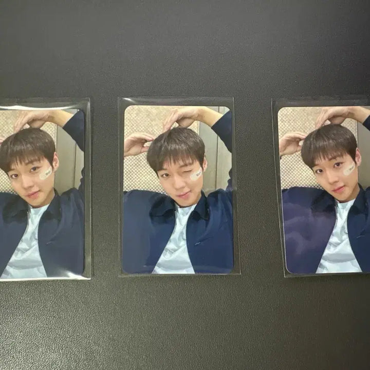 [BUNJANG] Park Ji Hoon Withmu POB Photocard &amp; Album (Sealed) / 박지훈 위드뮤 미공포 포카+앨범  판매