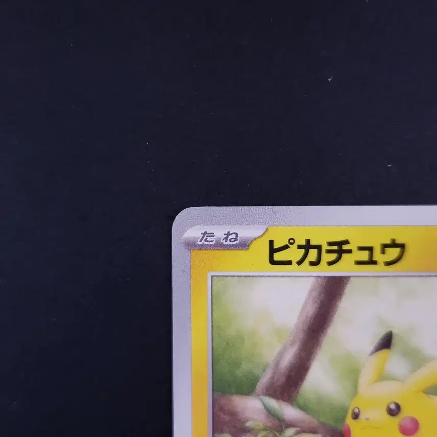 [BUNJANG] Pikachu 025/165 C sv2a Pokemon Card 151 Japanese / 피카츄 025/165 C sv2a 포켓몬 카드 151 일본판 일판