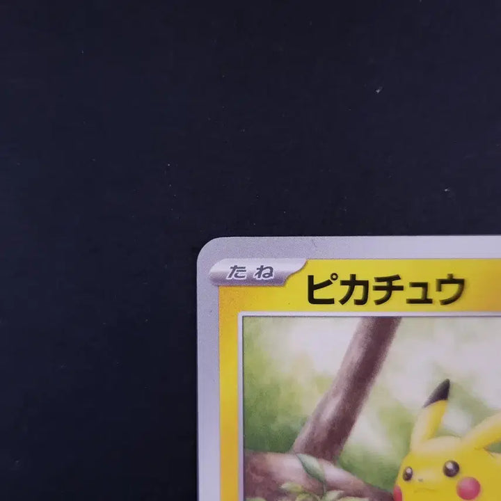 [BUNJANG] Pikachu 025/165 C sv2a Pokemon Card 151 Japanese / 피카츄 025/165 C sv2a 포켓몬 카드 151 일본판 일판