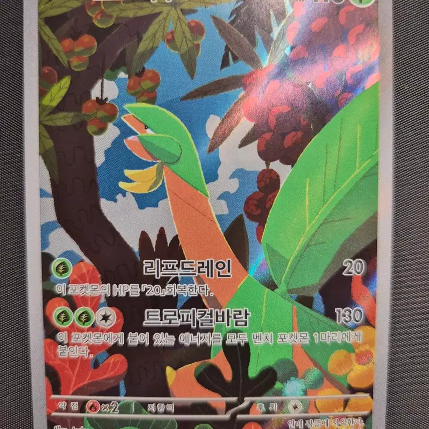 [BUNJANG] Tropicus AR Card with Toploader / [S급] 트로피우스 AR + 탑로더 보관