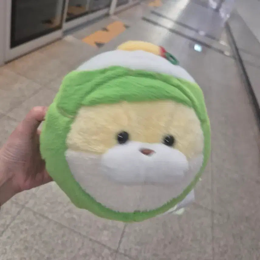 [BUNJANG] Bomdong Bibimbap Woosoochoo Medium Plush / 봄동비빔밥 우소우소 중형 인형 택o 새상품