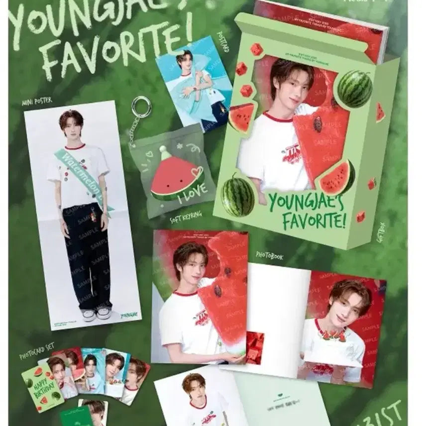 [BUNJANG] TWS Youngjae Birthday Box / TWS 투어스 영재 생일박스 생박 예판 양도