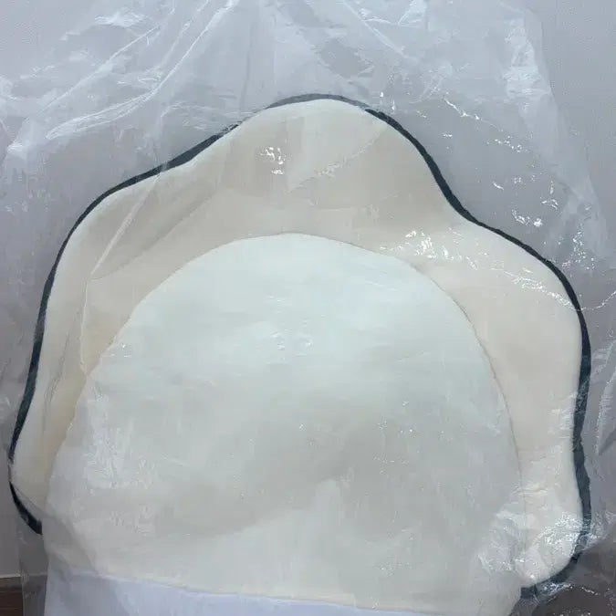 [BUNJANG] Namagaki Oyster Stuffed Toy / 나마가키 굴 인형 일본 정품