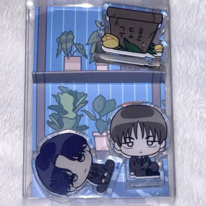 [BUNJANG] KOROTO Acrylic Block / 유원불변 아크릴 블럭 블록 코롯토