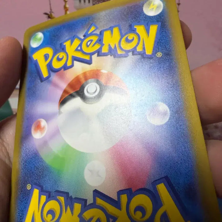 [BUNJANG] Pokemon Card Snowpao RR Album Version / 일판 포켓몬카드 눈여아 RR 앨범용