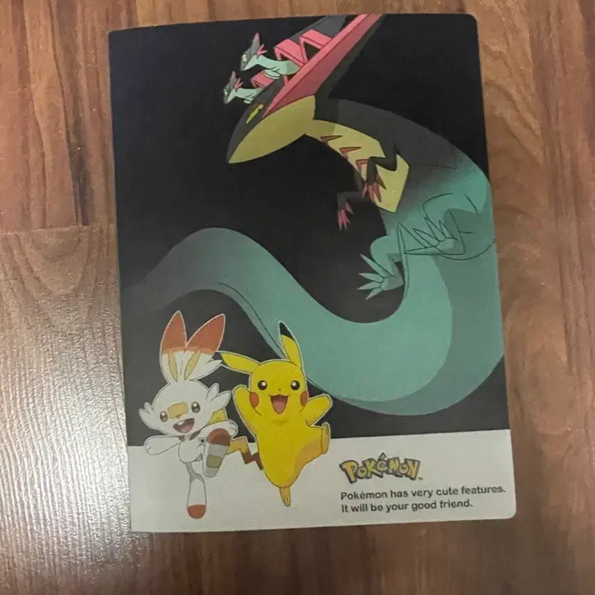 [BUNJANG] Pokemon Card Album Bundle Set / 포켓몬 카드 앨범 일괄 싸게 팔아요 꿀매 보장