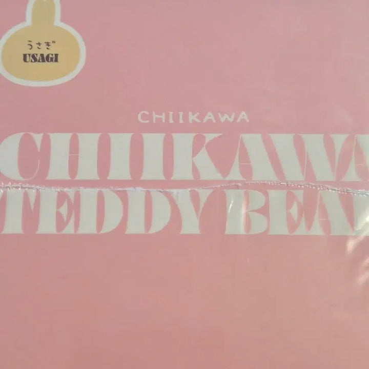 [BUNJANG] Kirameko Usagi Teddy Bear Sealed New Product / 테디베어 키라메코 우사기 미개봉 새상품
