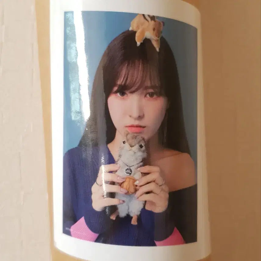 [BUNJANG] Red Velvet Wendy 2019 Season&