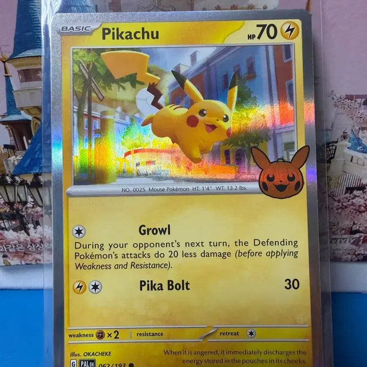 [BUNJANG] North America Pikachu Halloween Pokemon Card / 북미 포켓몬카드 피카츄 할로윈