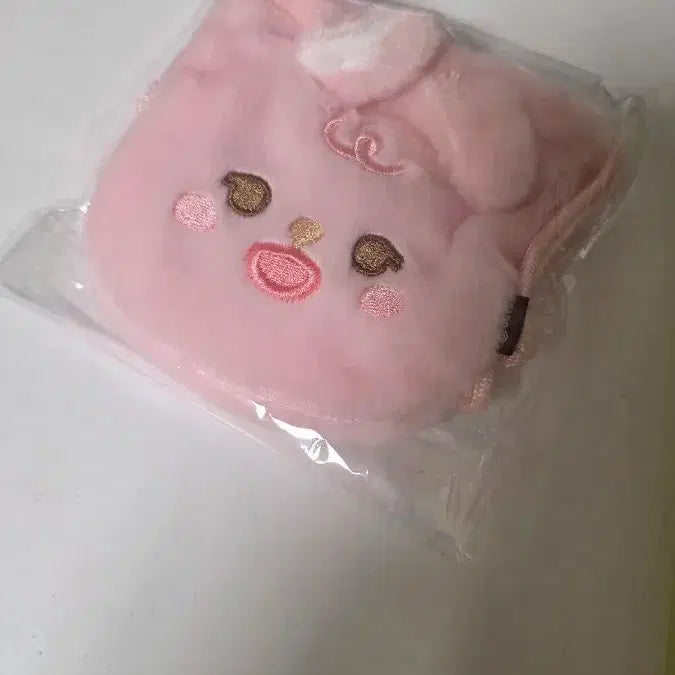 [BUNJANG] Day6 Jansport Phil Pouch / 데이식스 잔스포츠 필 파우치