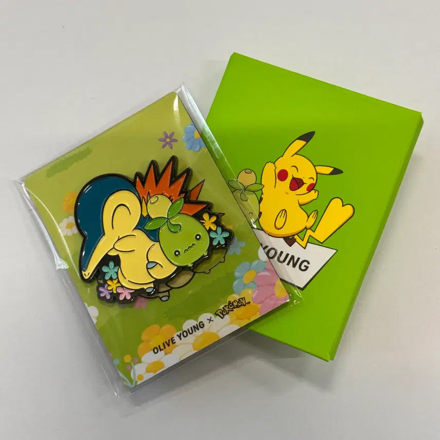 [BUNJANG] Pokemon Double Magnet - Charizard / 포케몬스터 더블 마그넷 브케인