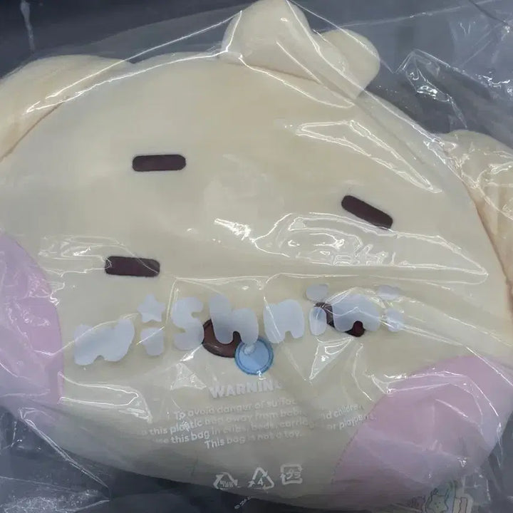 [BUNJANG] NCT WISH Line Friends Wishnini Jaehee Medium Plush Cushion / NCT WISH 엔시티위시 라인프렌즈 위시니니 재희 댕트리니 중형 쿠션